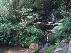 -大雁山风景区
