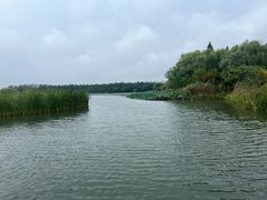 -溱湖国家湿地公园