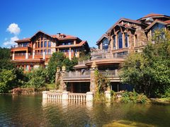 -华盛园卷子王农家菜水库鱼