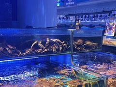 -驻海渔市(置信店)