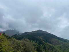 -九华山风景区-东崖禅寺