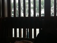 -昆山城市公园