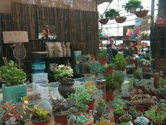-秦美花卉(天朗·莱茵小城2期店)