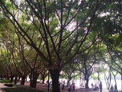 -南宁南湖公园