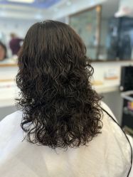 -镁连社·美联社