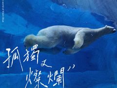 -珠海长隆海洋王国