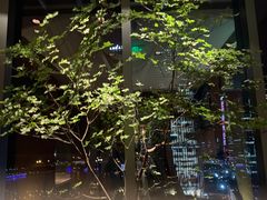 -小南洋海景餐厅(深圳湾店)