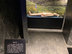 -亳州博物馆