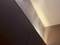 -水秀坊·足道 SPA 按摩(巨鹿路店)