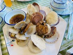 特色扇贝-华圆美食