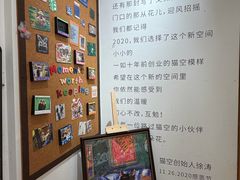 -猫的天空之城概念书店(大学路店)
