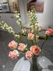 -MIDA蜜哒•科技逆龄美肤连锁