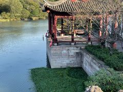 -绍兴镜湖国家城市湿地公园