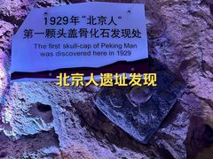 -北京周口店北京人遗址博物馆