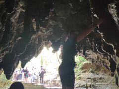 -怀托摩萤火虫洞