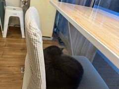 -春笙食堂.丼饭拉面寿司(GOGO新天地店)