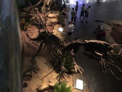 -自贡恐龙博物馆