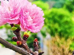-王借岗森林公园