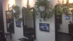 -AFA Hair studio·女士发型设计