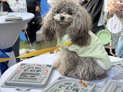 -上海神旺大酒店