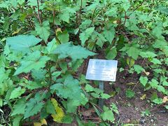 -广州神农草堂中医药博物馆