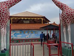 -吴桥杂技大世界