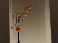 -奇芳阁·百年清真南京菜(夫子庙店)