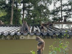 -何乡别院·中式农庄(姑婆山大道店)