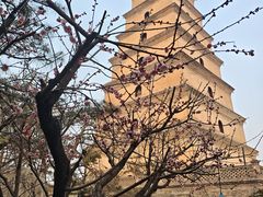 -大慈恩寺(大雁塔)