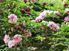 -大钟寺古钟博物馆