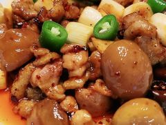 鸡枞菌宫保鸡丁-新荣记(建国门外大街店)