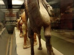 -西安大唐西市博物馆