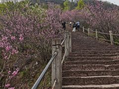 -天台山赤城山景区