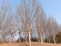 -北京奥林匹克公园