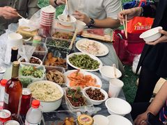 -上海海湾国家森林公园