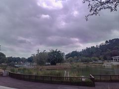 -王借岗森林公园