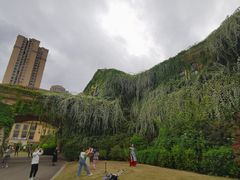 -府河摄影公园