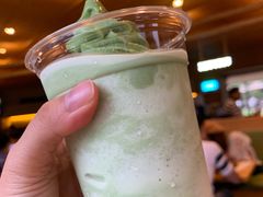-雪绿茶博物馆