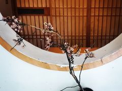 -吉兆·料理(红梅南路店)