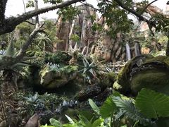 -奥兰多迪士尼动物王国乐园