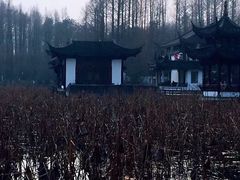 -西湖外事游船(花港观鱼码头)