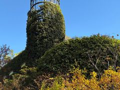 -三鹰之森吉卜力美术馆