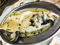 姜汁鱼头-新峰肉骨茶