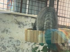 -青藏高原野生动物园