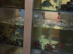 -柚柑湾度假村餐厅
