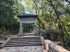 -泰山风景名胜区