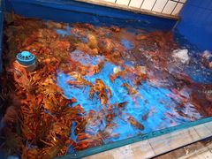 -江南韵·无锡太湖文化体验餐厅(凤凰天街店)