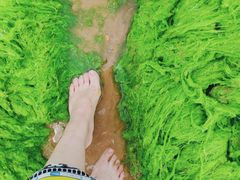 -青岛银沙滩