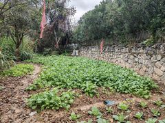 -生态苑农庄(十里画廊遇龙河店)