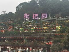 -枇杷园食为鲜火锅(南山店)